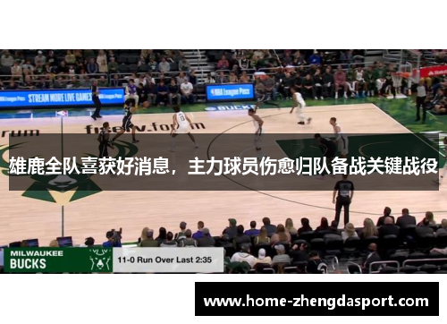 雄鹿全队喜获好消息，主力球员伤愈归队备战关键战役